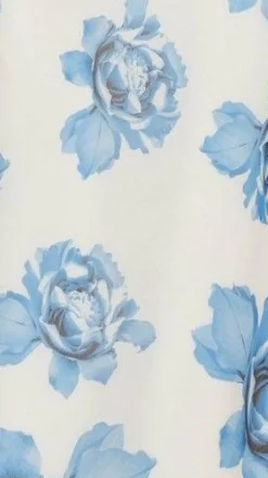SASHA (BNE) Dresses|Maxi^Amina Maxi Dress - Blue Rose