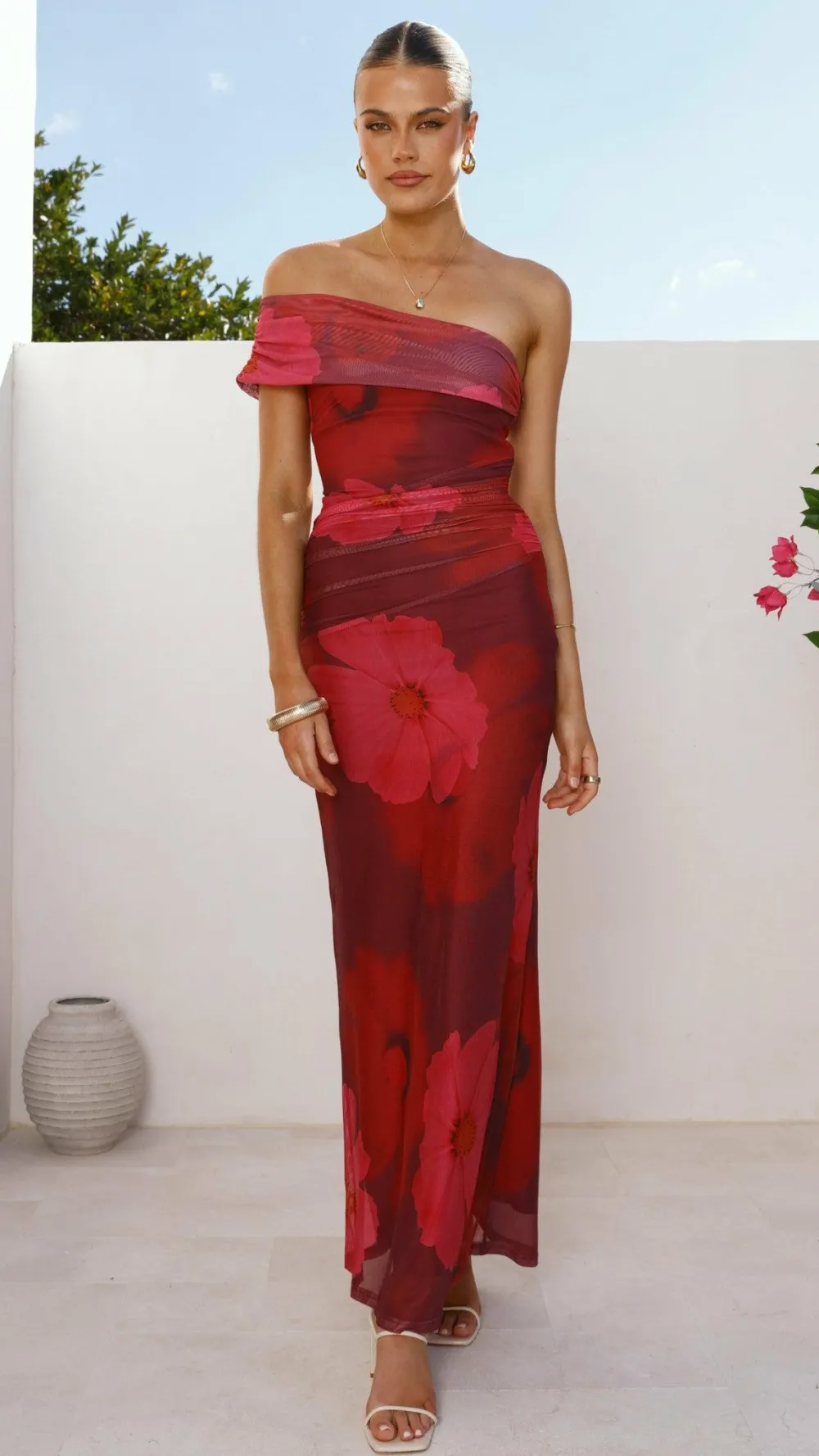 SASHA (BNE) Dresses|Maxi^Jelani Maxi Dress - Red Floral