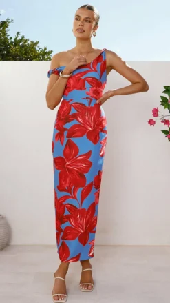 SASHA (BNE) Dresses|Maxi^Lorina Maxi Dress - Red/Blue Floral