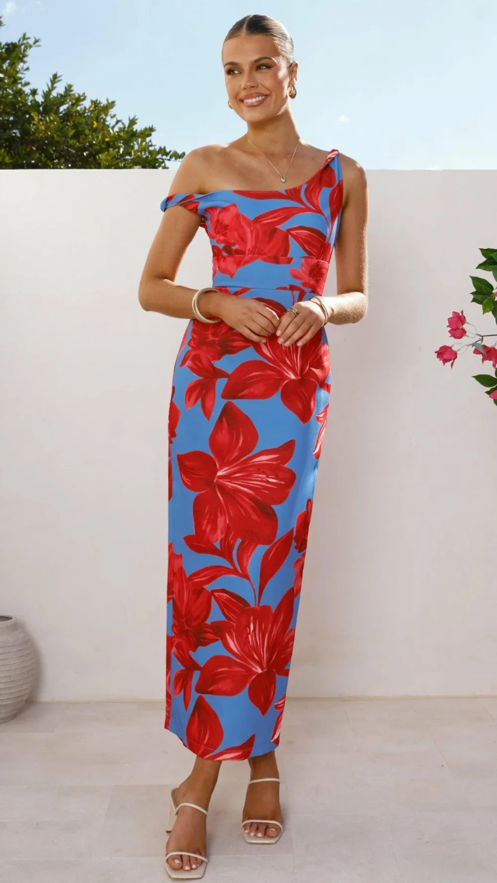 SASHA (BNE) Dresses|Maxi^Lorina Maxi Dress - Red/Blue Floral