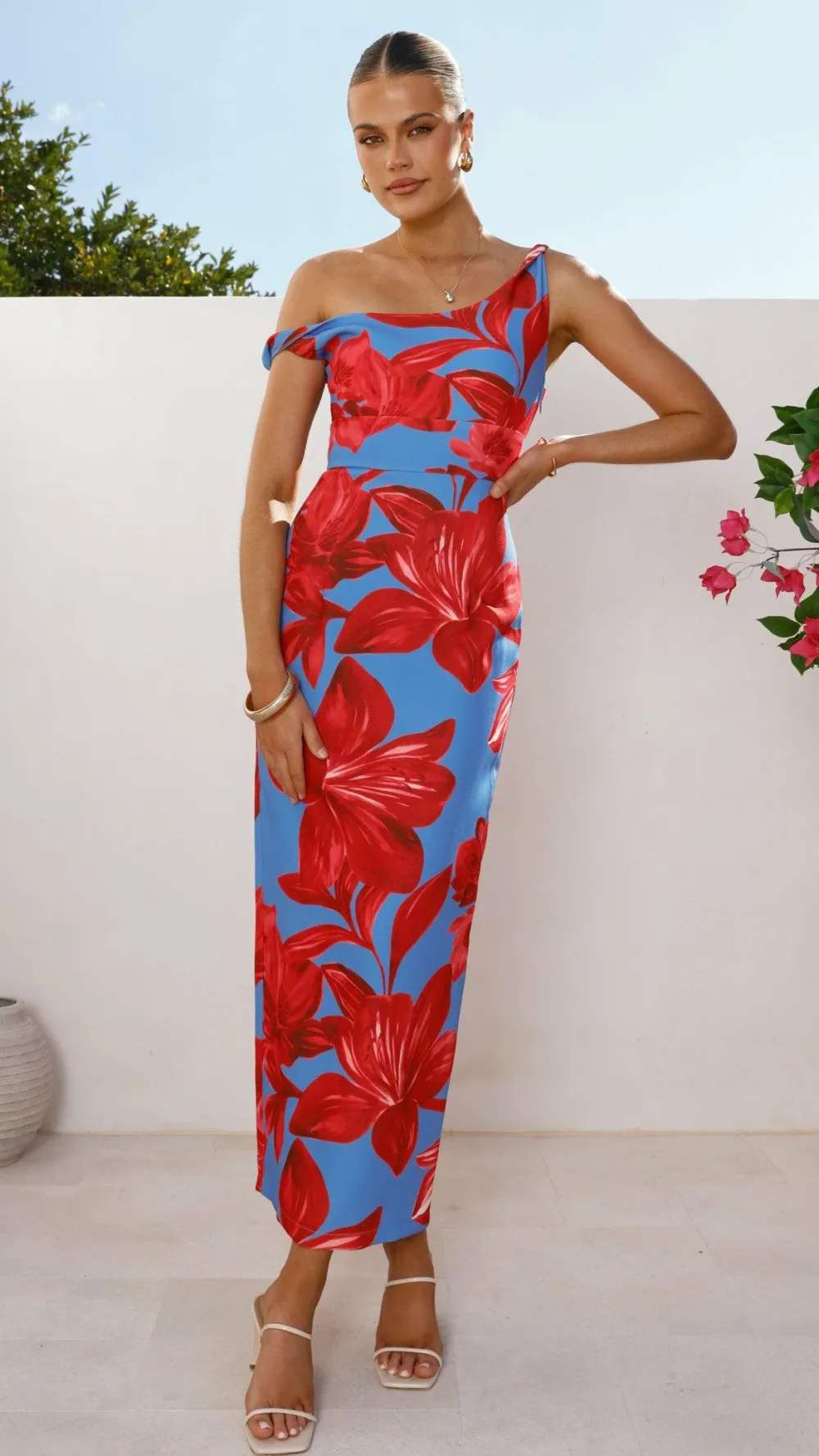 SASHA (BNE) Dresses|Maxi^Lorina Maxi Dress - Red/Blue Floral