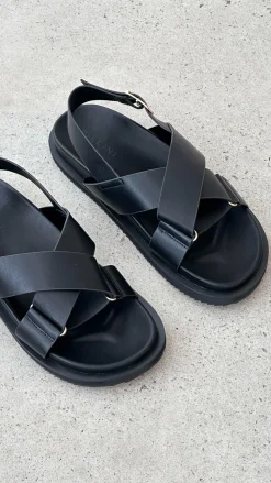 Billini Billini|Sandals & Slides^Trudy Sandal - Black